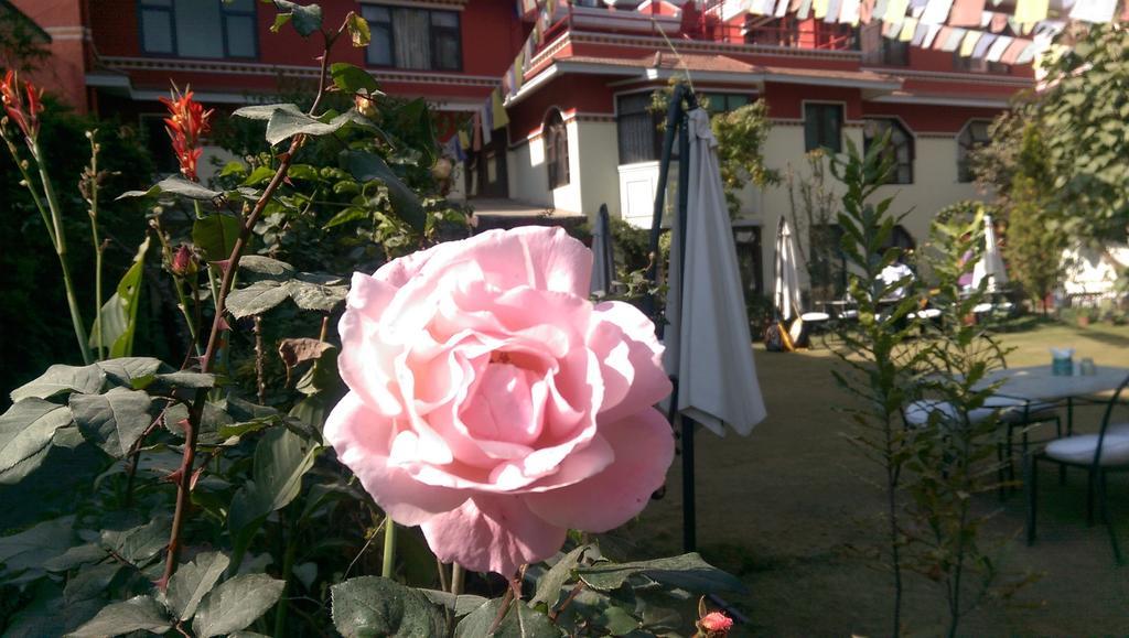 Rokpa Guest House Catmandu Exterior foto